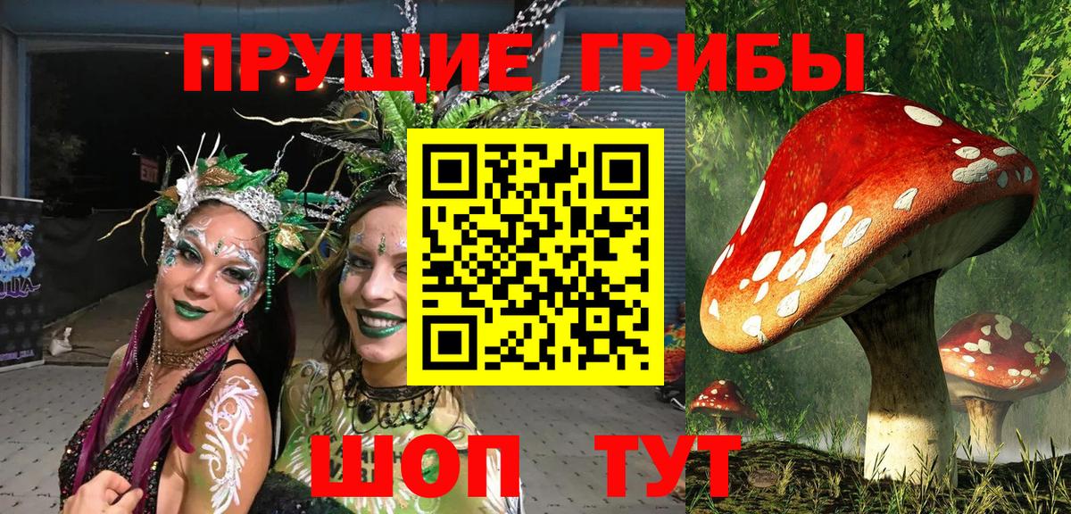 где продают   Вход с VPN  Псилоцибиновые грибы мухоморы  Ливны  Галлюциногенные грибы мухоморы 