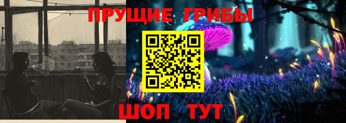 Галлюциногенные грибы Psilocybine cubensis Ливны